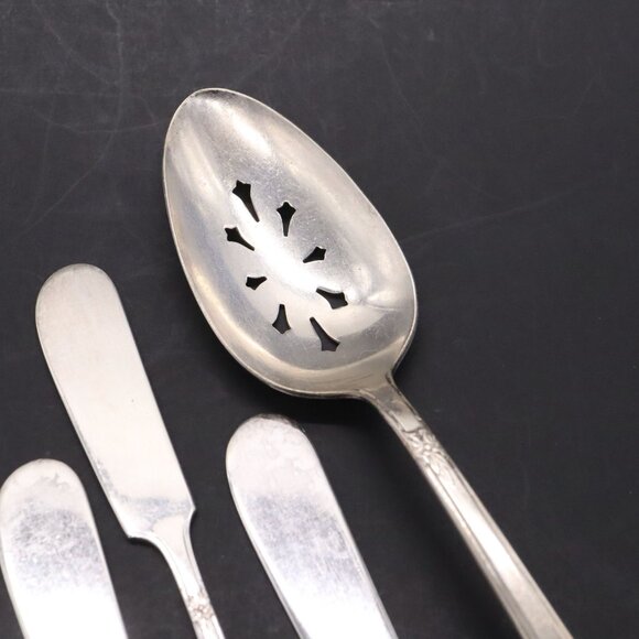 WM Rogers Mountain Rose Silverplate Flatware 8 Butter 1 Master 1 Slotted Spoon - Picture 6 of 8